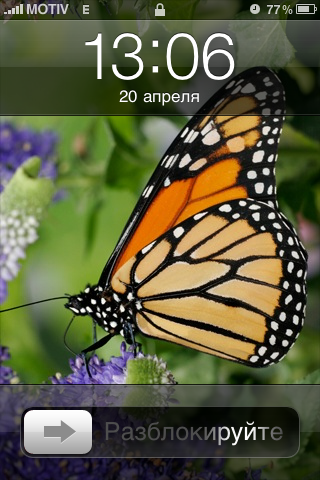 Прикрепленное изображение