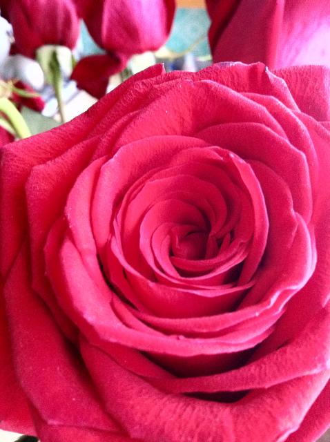 Прикрепленное изображение