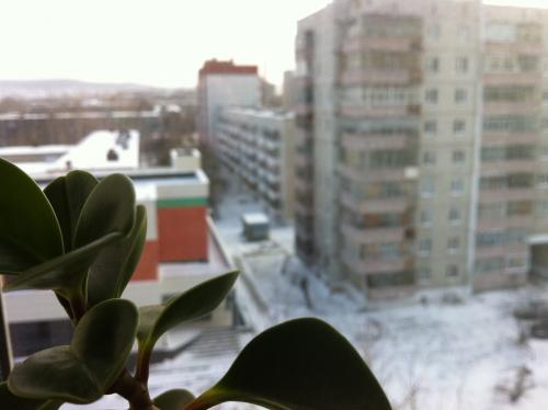 Прикрепленное изображение