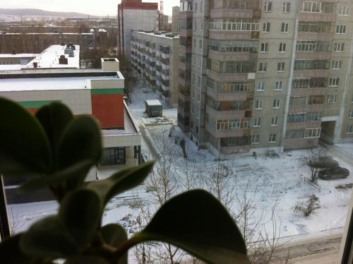 Прикрепленное изображение